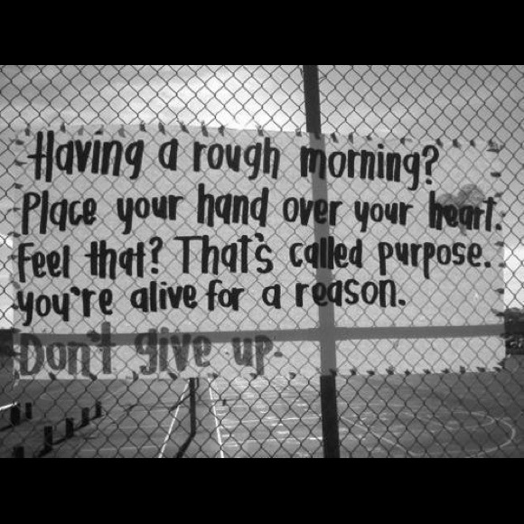 New listing up!❤️⬅️next door 4 updates🙏(The one with my Christmas picture😂) - Picture 10 of 16